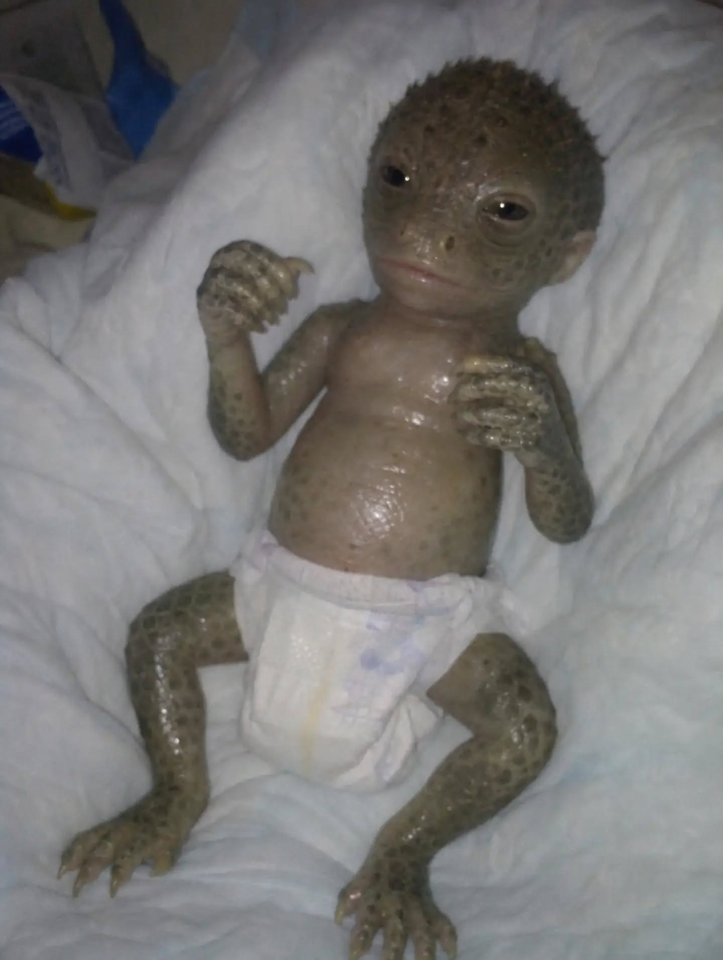 AI slop artwork of a small reptilian infant figure resting in bedding