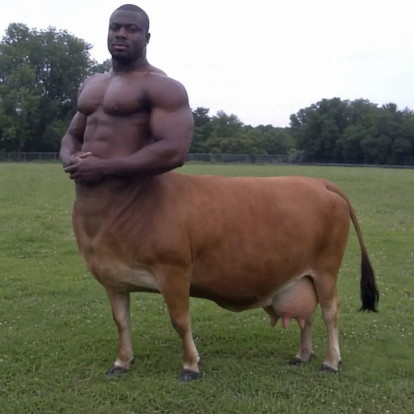 AI slop artwork of a muscular human-cattle hybrid standing in a field